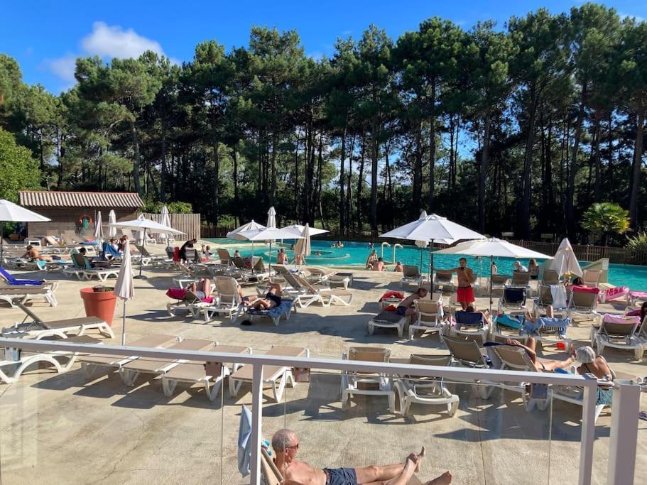 Appart' Dans Les Pins, Ocean, Lac, Piscine Lacanau Dış mekan fotoğraf